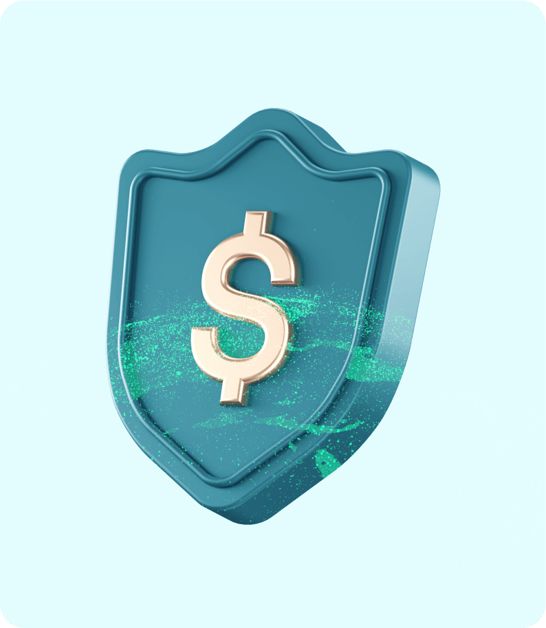 Money security shield icon